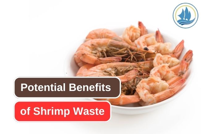 6 Potential Benefits of Shrimp Waste 